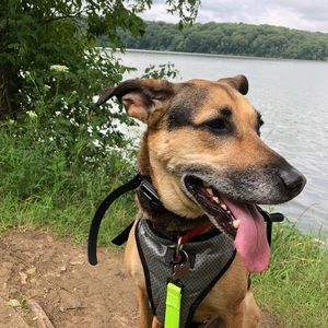 Meet your Posher, Delaney